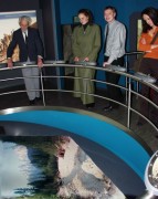 Thumbs/tn_060 Im Kinoraum Haus der Natur 11022004.jpg